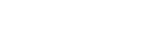 Ikigai Labs